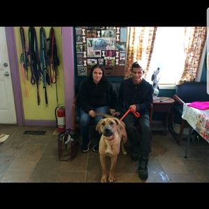 Meet your Posher, Rebecca